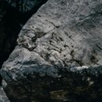 close up shot of a gray rock